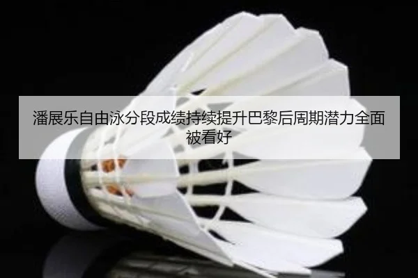潘展乐自由泳分段成绩持续提升巴黎后周期潜力全面被看好